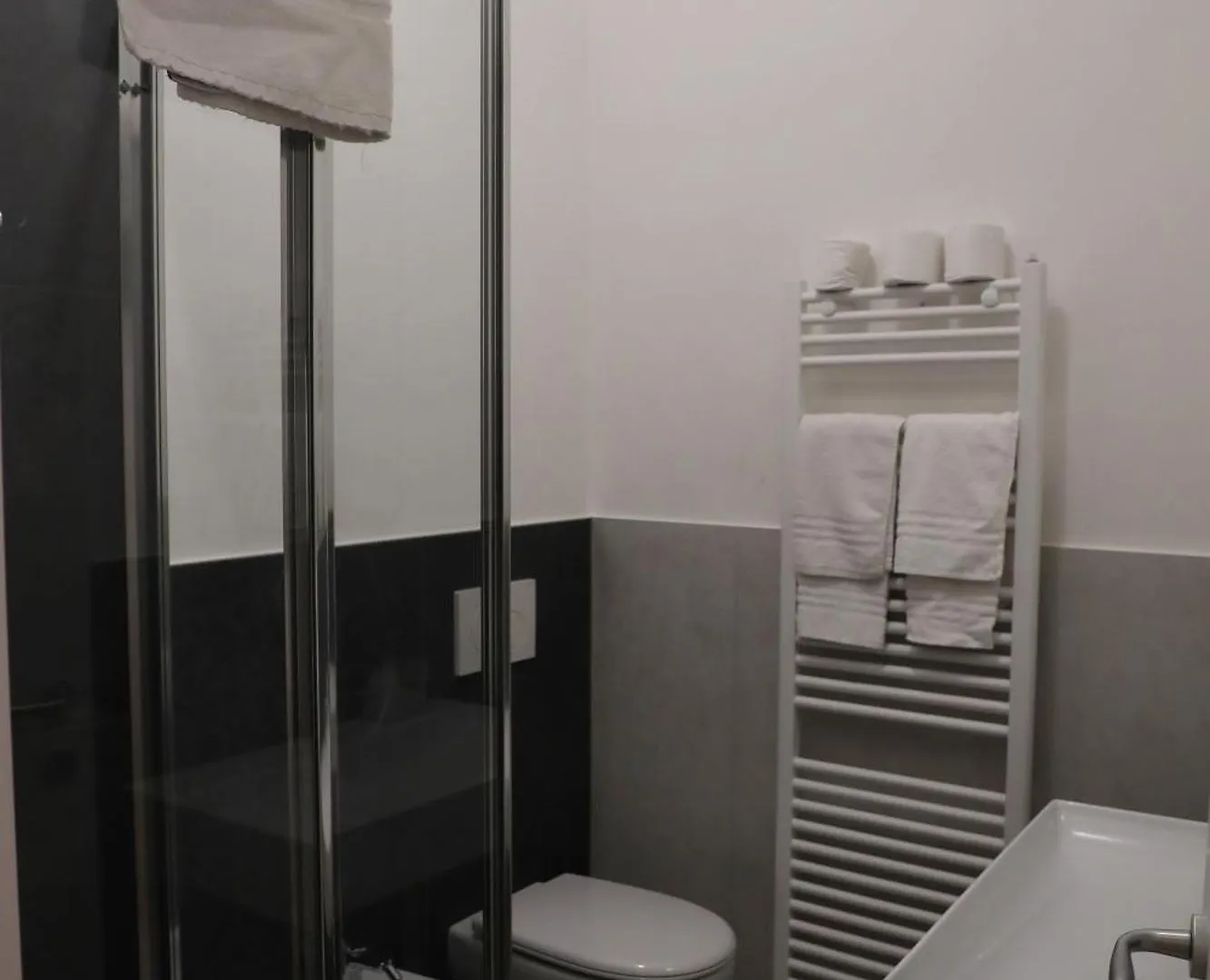 Hotel Central Giacomini Salo