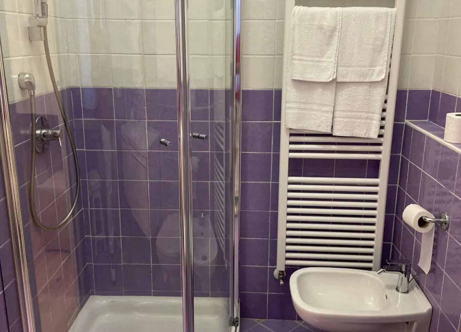 Hotel Central Giacomini Salo